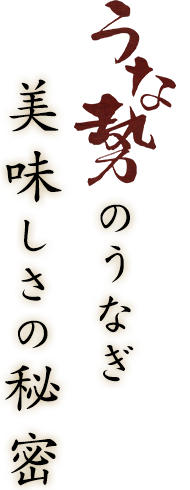 うな勢のうなぎ美味しさの秘密